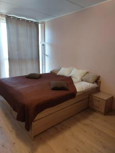 Postel nebo postele na pokoji v ubytování Rotermanni District Bee Apartment