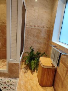 a bathroom with a shower and a wooden tub at Artists house in Rivière Noire +24 photos