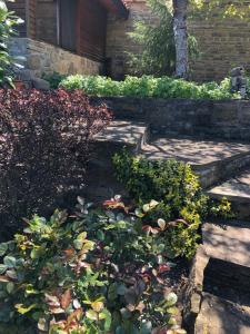 a garden with some plants and a brick building at Попската къща-възрожденски дух и съвременни удобства in Medven