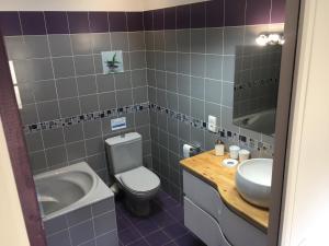 une salle de bains avec toilettes et lavabo dans l'établissement La Tour de Flandre, à Rousseloy