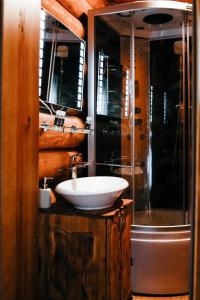 uma casa de banho com um lavatório e um chuveiro em Ray Eco Resort em Mukacheve