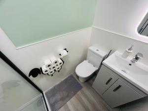 Koupelna v ubytování Romantic Shepherd Hut with Optional Hot Tub in Snowdonia