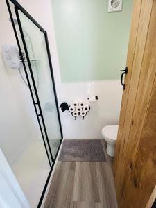 Koupelna v ubytování Romantic Shepherds Hut with Hot Tub in The Heart of Snowdonia