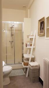 uma casa de banho com um chuveiro e um WC. em L'Aile des Moineaux em Cosne Cours sur Loire