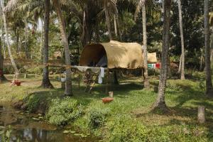 une tente au milieu d'une forêt avec des palmiers dans l'établissement The Temple Tree Varkala, à Varkala