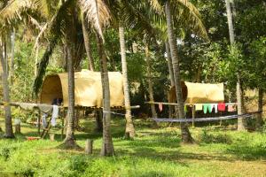 a house with clotheslines and a hammock and palm trees at The Temple Tree Varkala in Varkala