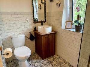 a bathroom with a toilet and a sink at Dolina Piekielnicy 