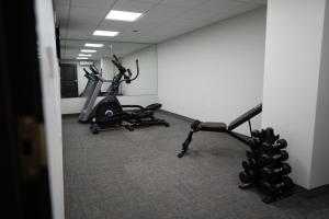 Fitness centrum a/nebo fitness zařízení v ubytování The Alonzo Ward Hotel