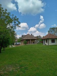 une cour avec une maison et une maison avec une pelouse verte dans l'établissement ENIGMA, à Vrdnik