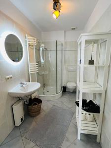 een badkamer met een wastafel, een douche en een toilet bij kleine Fine in Lübeck
