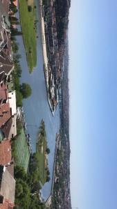 an overhead view of a river with buildings and a city at Golden horn view apartment 2 in Istanbul