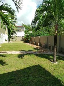 a shady yard with a palm tree and a fence at Casa de praia para temporada in Paulista