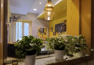 Paris Hotel Cairo في القاهرة: اثنين من النباتات الفخارية موجودة على منضدة في المطبخ