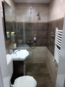 La salle de bains est pourvue de toilettes, d'un lavabo et d'une douche. dans l'établissement V & V ViLLA, à Lalince
