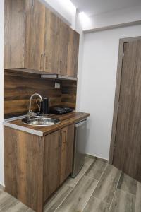 Kuchyň nebo kuchyňský kout v ubytování Nikolaidis Apartments