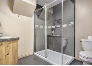 uma casa de banho com um chuveiro e um WC. em Hébergement chez le D em Saint Zenon