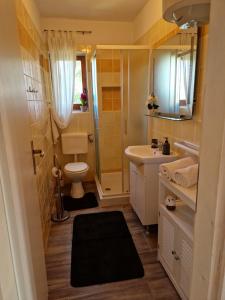 Un baño con inodoro, lavabo y ducha. en Apartments Poretti for 2,in Center Parking Free in the yard,6 min beach walk, en Rovinj