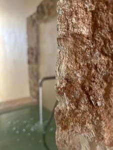 eine mit Wasser gefüllte Badewanne neben einer Steinmauer in der Unterkunft BORGANTHIA - IL CHIOSTRO DEI MEDICI in Alberobello