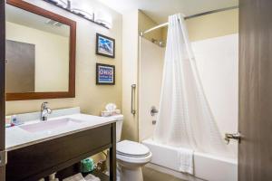 een badkamer met een wastafel, een toilet en een douche bij Comfort Inn & Suites Fairborn near Wright Patterson AFB in Fairborn