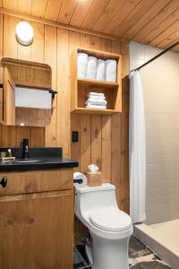 ein Bad mit einem WC und einem Waschbecken in der Unterkunft Desolation Hotel Hope Valley in Markleeville