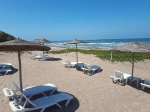 - un groupe de chaises longues et de parasols sur une plage dans l'établissement DREAM LIND SAHEL, à Zemmour Touirza
