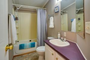 een badkamer met een wastafel, een toilet en een douche bij Tennessee Vacation Rental about 2 Mi to Windrock Park! in Oak Ridge