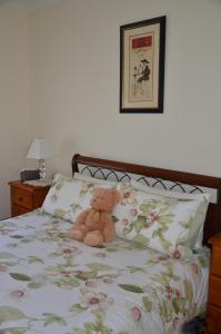 a teddy bear sitting on top of a bed at Admurraya House Bed & Breakfast in Rutherglen