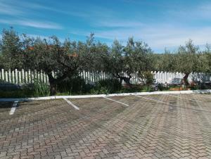 Fotografie z fotogalerie ubytování Colline del sole v destinaci San Salvo