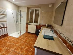a bathroom with a sink and a shower at Gîte familial et équipé à la campagne avec terrasse, près de Pont-à-Mousson et de nombreuses activités - FR-1-584-73 in Lironville