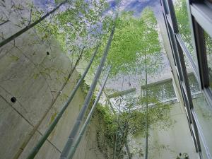 Jisco Hotel Obama Onsen外面的花园