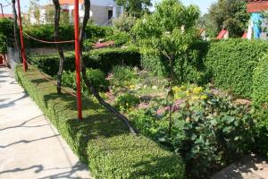 Fotografie z fotogalerie ubytování Apartments Ana v destinaci Biograd na Moru