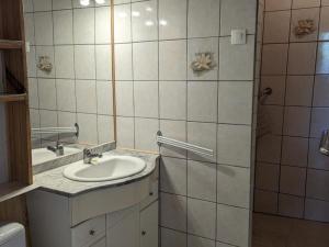 uma casa de banho com um lavatório e um chuveiro em Gîte Saint-Sulpice-de-Cognac, 3 pièces, 4 personnes - FR-1-653-221 em Saint-Sulpice-de-Cognac