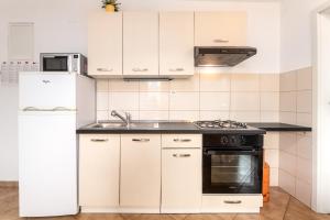 Kuchyň nebo kuchyňský kout v ubytování Apartments with parking spaces Baska, Krk - 13907
