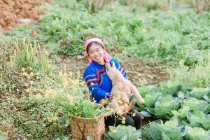 Galeriebild der Unterkunft Lagom Bắc Hà Farmstay in Lào Cai + 291 Fotos