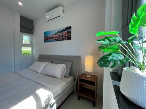 a bedroom with a bed and a potted plant at MOST Family 9 Ubon in Ubon Ratchathani