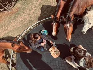 dos chicas están de pie junto a dos caballos en Hárpia Fészek, en Pécsvárad