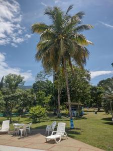 a palm tree with tables and chairs in a park at Hotel Playa By Marbar in Villeta