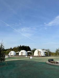 a group of white tents in a field with trees at chillout glamping zao in Zao