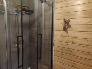 a shower in a bathroom with a wooden wall at Les Hauts du Roux in Abriès