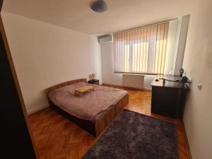 een slaapkamer met een bed en een groot raam bij Central Apartment Targu Mures - Best view in town in Târgu-Mureş