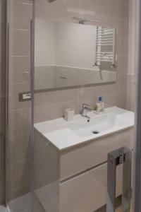 La salle de bains est pourvue d'un lavabo et d'une douche. dans l'établissement Flaminio New Apartment, à Rome