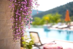 un montón de flores púrpuras colgando de una pared en Hotel Reset en Budva