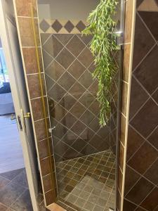 una puerta de ducha de cristal con una planta en Annies Place Self Catering, en Kempton Park