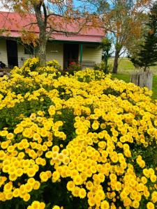 Red Hill Cottage Walcha外面的花园