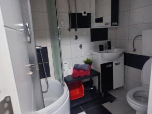 uma pequena casa de banho com WC e lavatório em Triangle studio 4 Divcibare em Divčibare