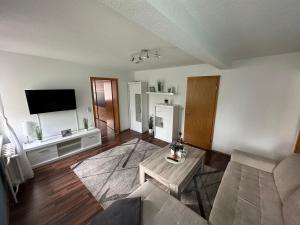 Ferienwohnung, Apartment, Monteurwohnung mit Klimaanlage Wettin - Löbejün : غرفة معيشة مع أريكة وتلفزيون