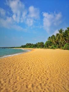 uma praia arenosa com palmeiras e o oceano em Sweet Pea Hostel em Balapitiya