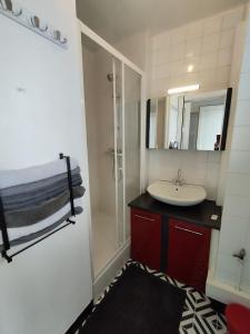 uma casa de banho com um lavatório e um chuveiro em APPARTEMENT T2 RIVE DROITE em Brest