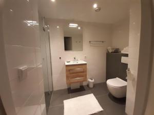 uma casa de banho com um WC, um lavatório e um chuveiro em B&B het Klontje em Vriescheloo