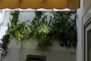 um monte de plantas penduradas numa parede em El patio de Nervión. em Sevilha